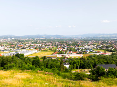 Działka Chełmiec