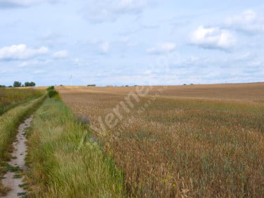 Działka budowlana sprzedam