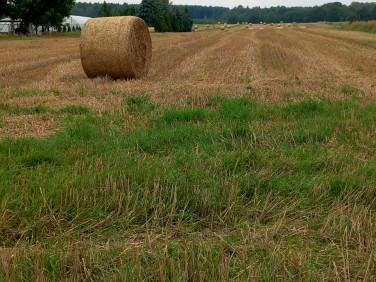 Działka budowlana Tarnowskie Góry