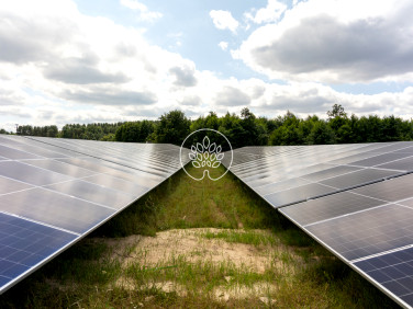 Budynek użytkowy Kępa Kujawska sprzedaż