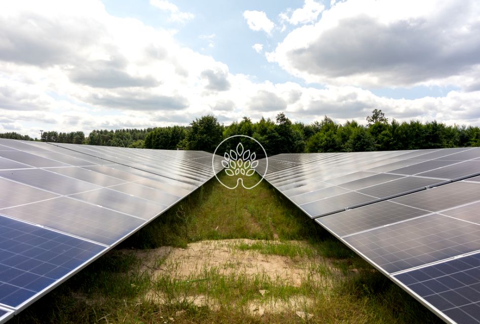 Budynek użytkowy Kępa Kujawska sprzedaż