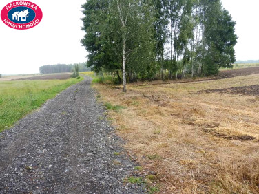 Działka Zator