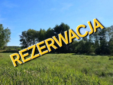 Działka Żółwia Błoć