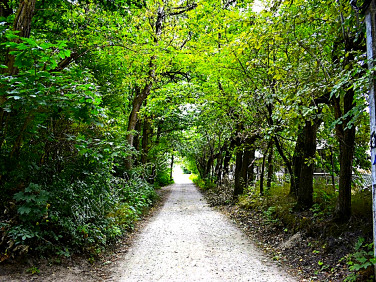 Działka budowlana Podkowa Leśna sprzedam