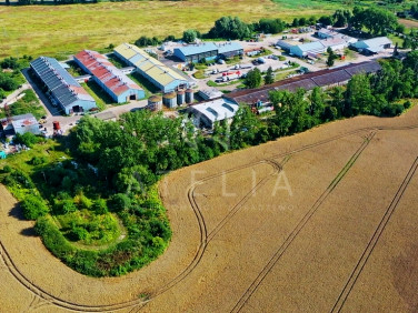 Budynek użytkowy Gryfino