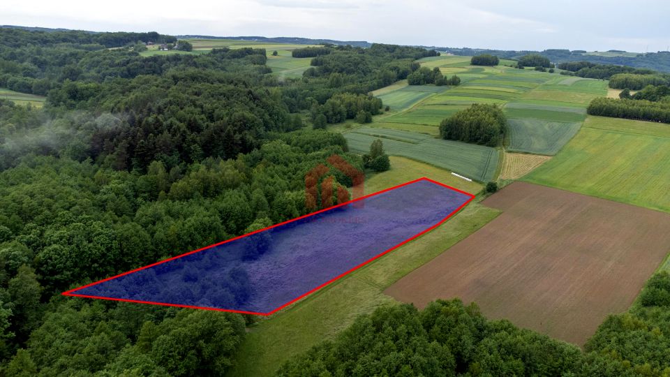 Działka rekreacyjna Zagorzyce