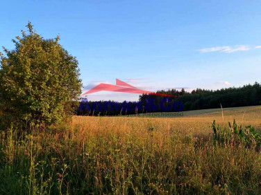 Działka budowlana Strzelniki