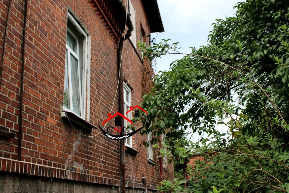 Zdjęcie 3
