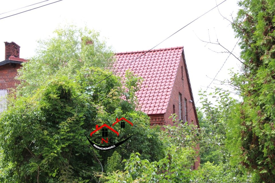Zdjęcie 2