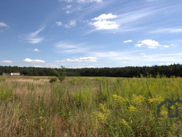 Działka przemysłowa Mosina