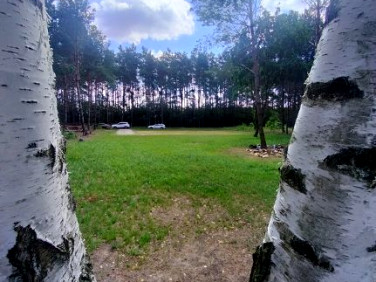 Działka Osiek