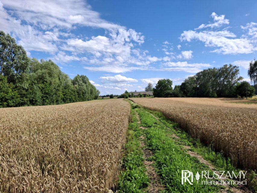 Działka rolna Trępnowy