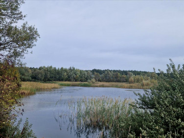 Działka rolna Beszyn