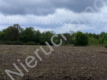 Działka budowlana Radonie sprzedam