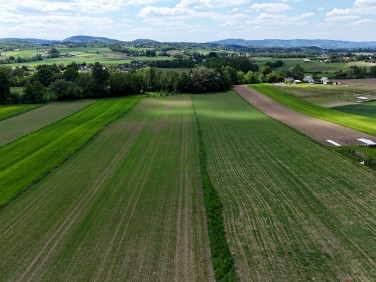 Działka budowlana Siemiechów