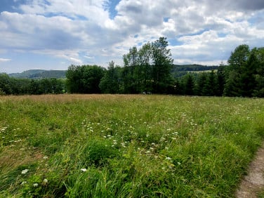 Działka budowlana Czarnów