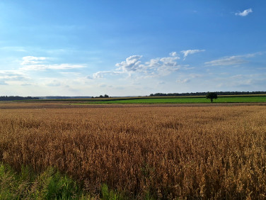 Działka budowlana Jabłonna-Majątek