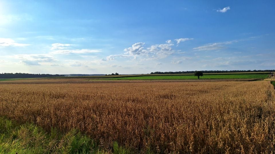 Działka budowlana Jabłonna-Majątek