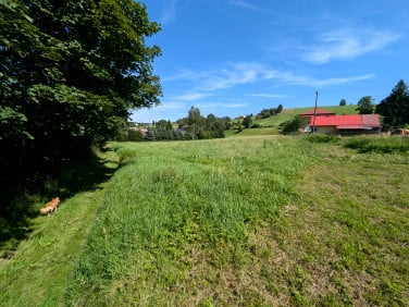 Działka budowlana Mchawa