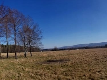 Działka budowlana Jelenia Góra sprzedam