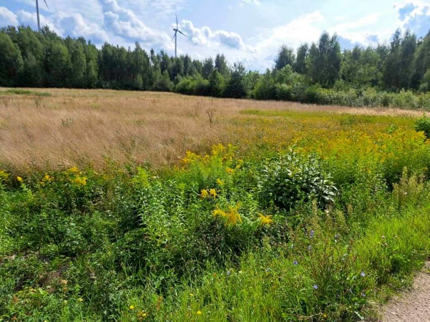 Działka Budy Mszczonowskie