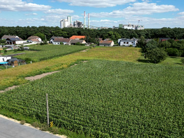 Działka budowlana Chorula