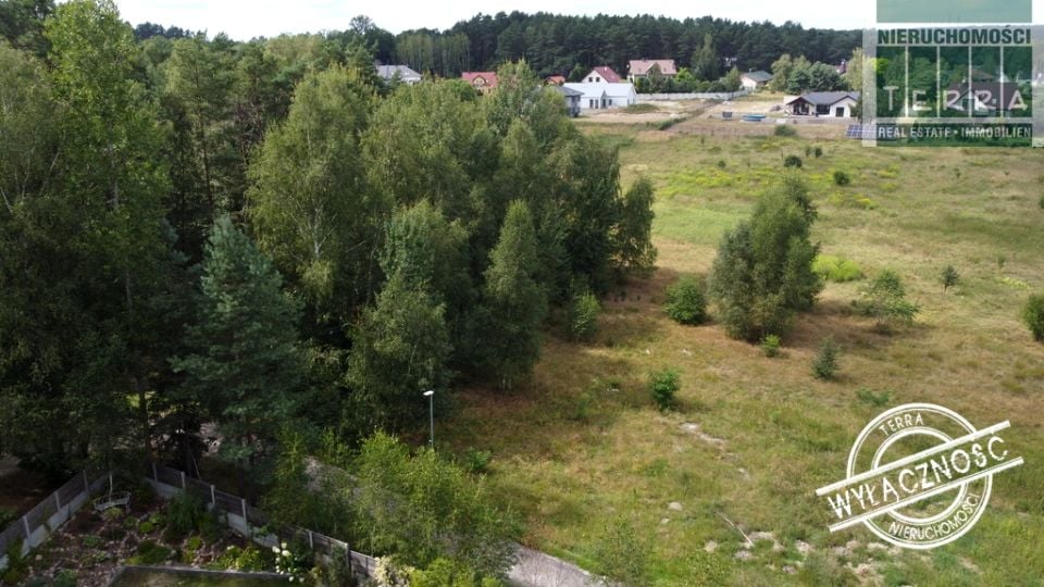 Zdjęcie 3