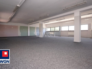 Lokal Piotrków Trybunalski