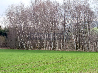 Działka Witoszów Górny