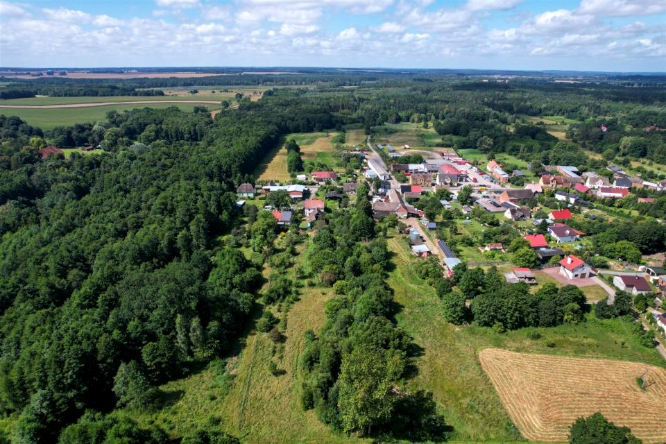 Zdjęcie 3
