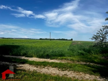 Działka inwestycyjna Leśnica