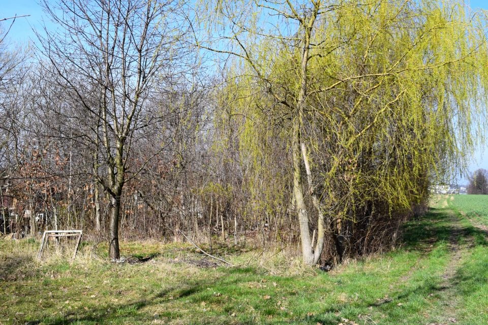 Zdjęcie 2