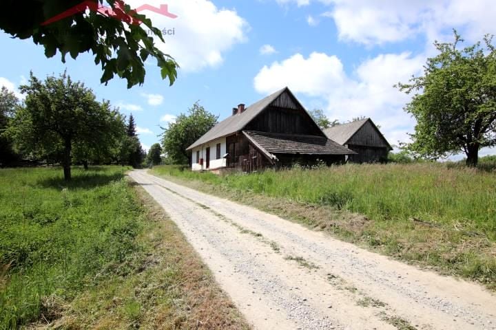 Zdjęcie 2
