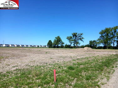 Działka budowlana Jasin sprzedam