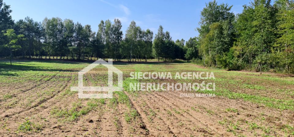 Działka budowlana Nowy Wiec