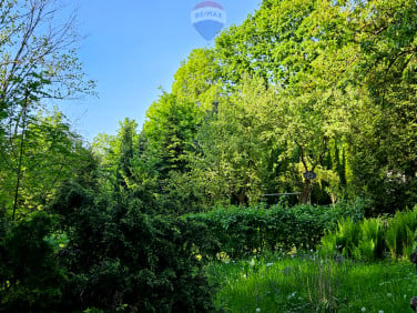 Działka Sygneczów