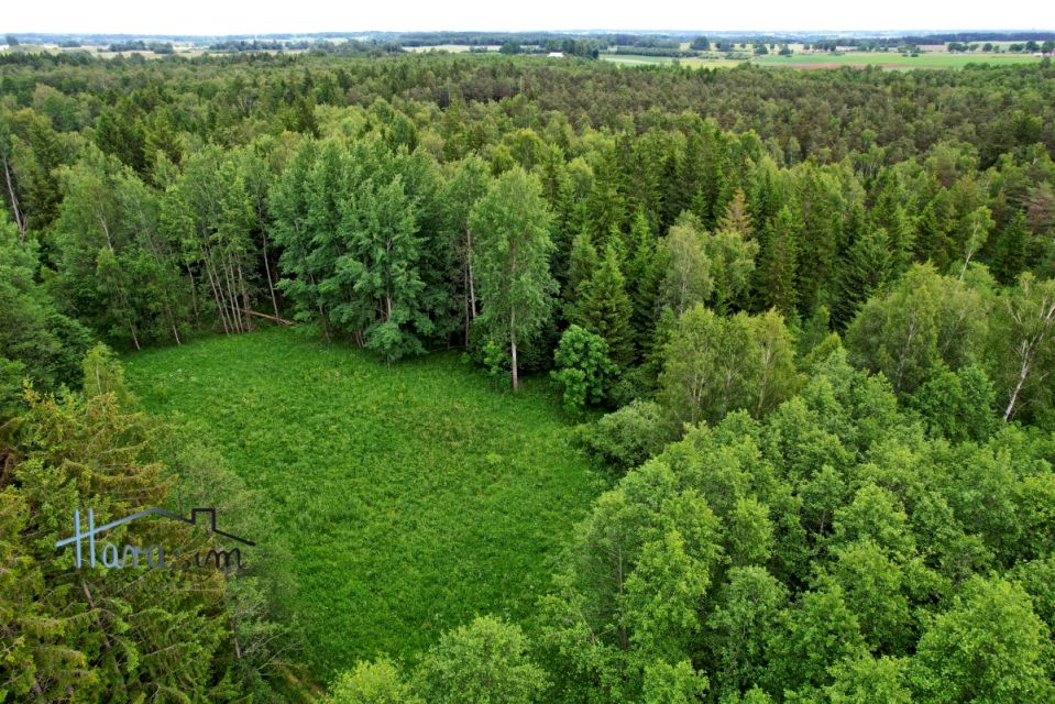 Działka leśna Plewki