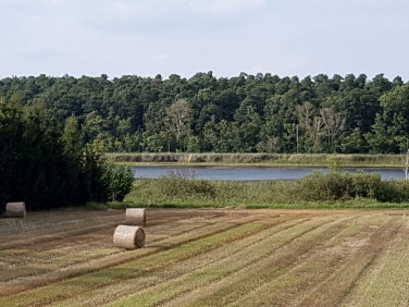 Działka inwestycyjna wielka wieś