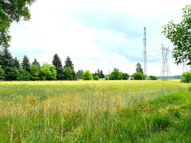 Działka usługowa Międzyrzec Podlaski