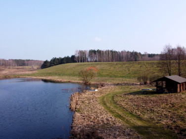 Działka budowlana Huta-Chojno