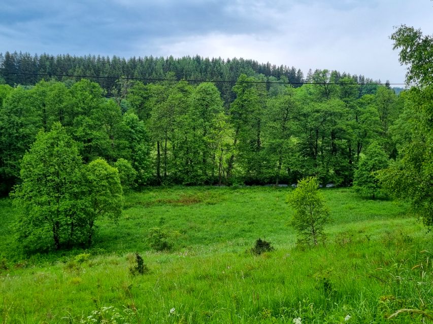 Działka Niemojów