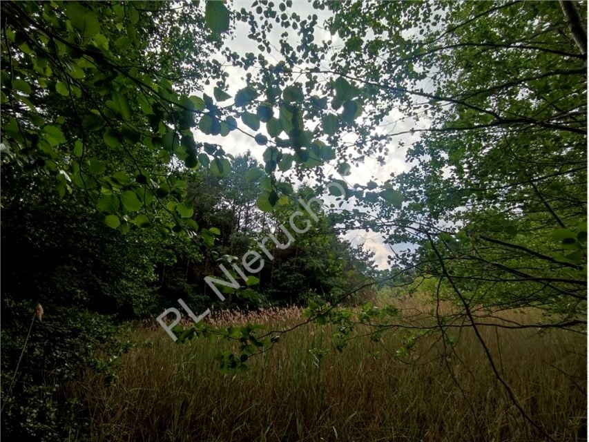 Działka Siestrzeń