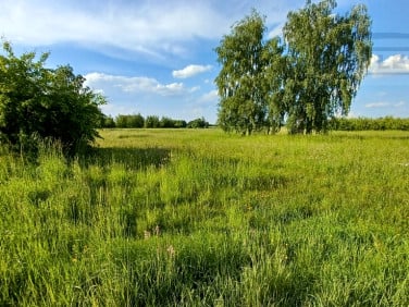 Działka budowlana Wola Krakowiańska sprzedam