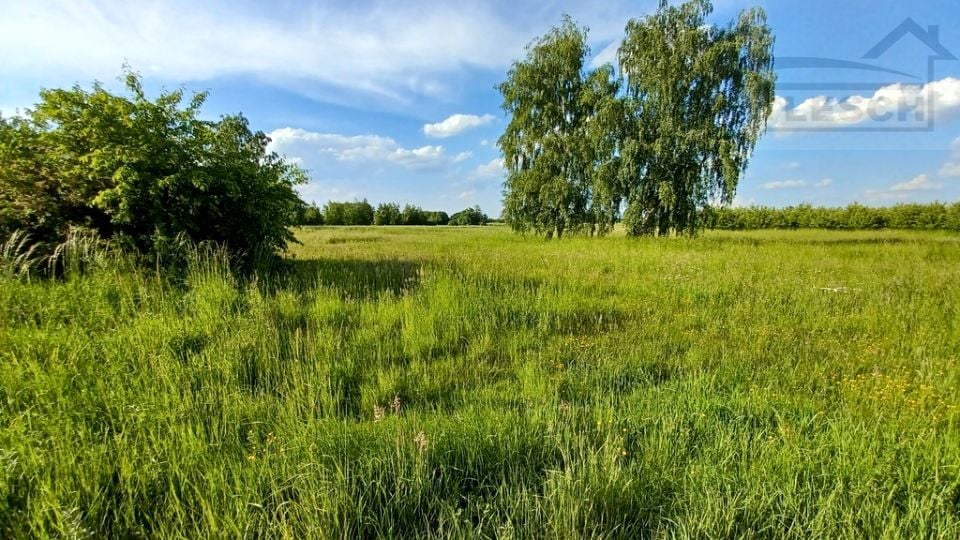 Działka budowlana Wola Krakowiańska sprzedam