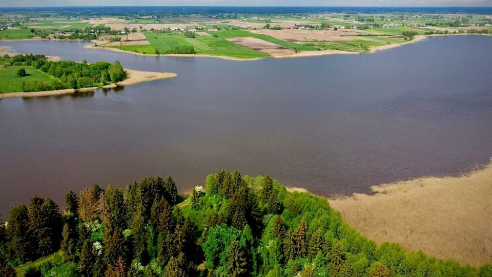 Działka siedliskowa Orzechówka