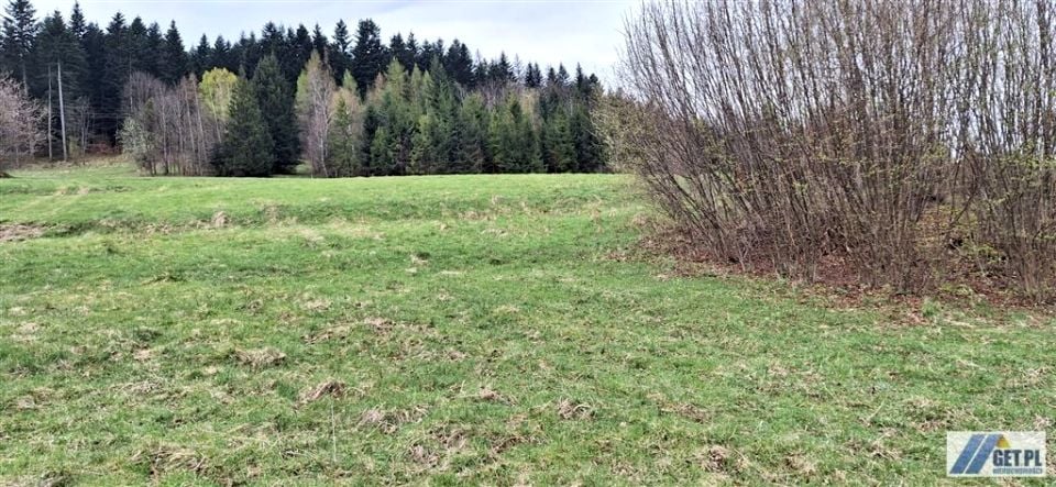 Zdjęcie 3