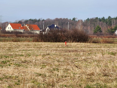 Działka siedliskowa Duchnów