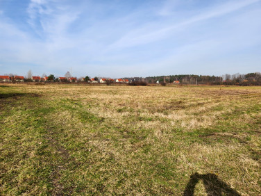 Działka siedliskowa Duchnów sprzedam