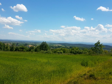 Działka Rybna