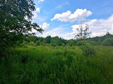 Działka budowlana Janinów